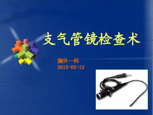 支气管镜检查术
