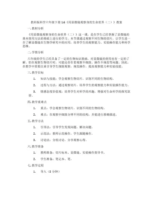 教科版科学六年级下册1.6《用显微镜观察身的生命世界(二)》教案