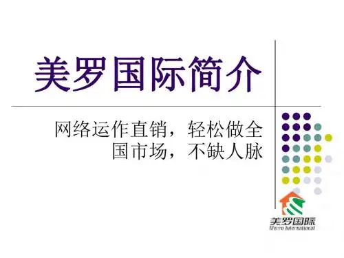 美罗国际简介