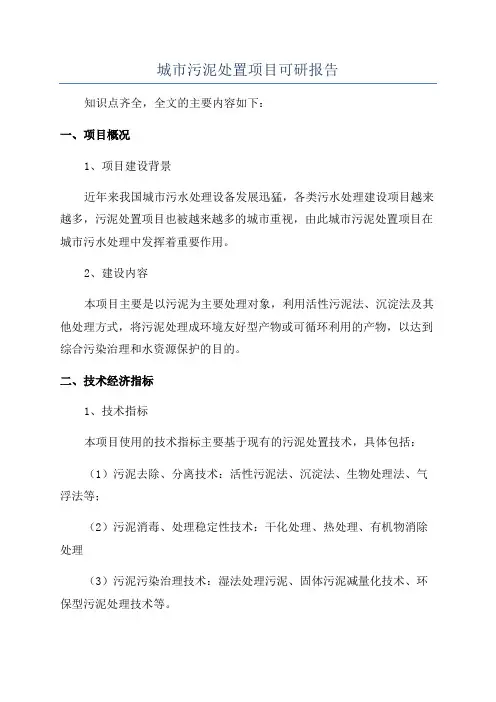 城市污泥处置项目可研报告
