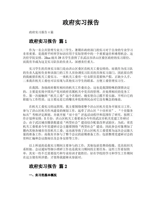 政府实习报告