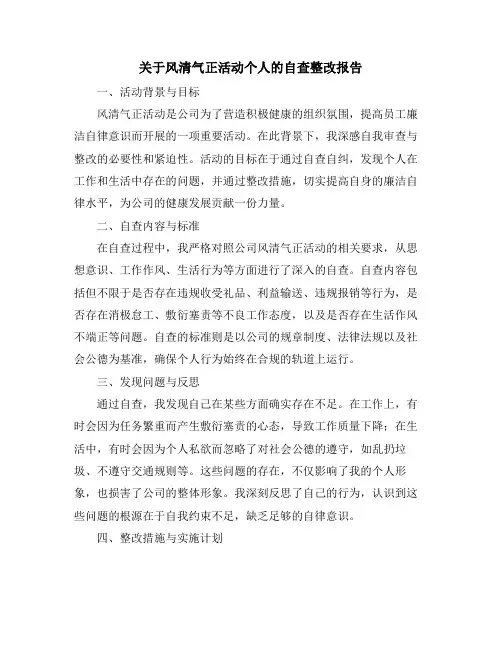 关于风清气正活动个人的自查整改报告