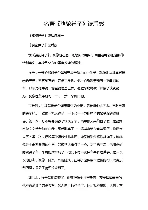 名著《骆驼祥子》读后感