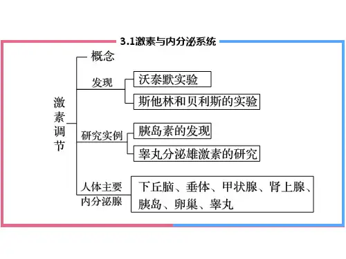 激素与内分泌系统课件-高二上学期生物人教版选择性必修1