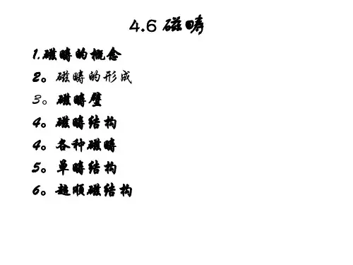 磁畴