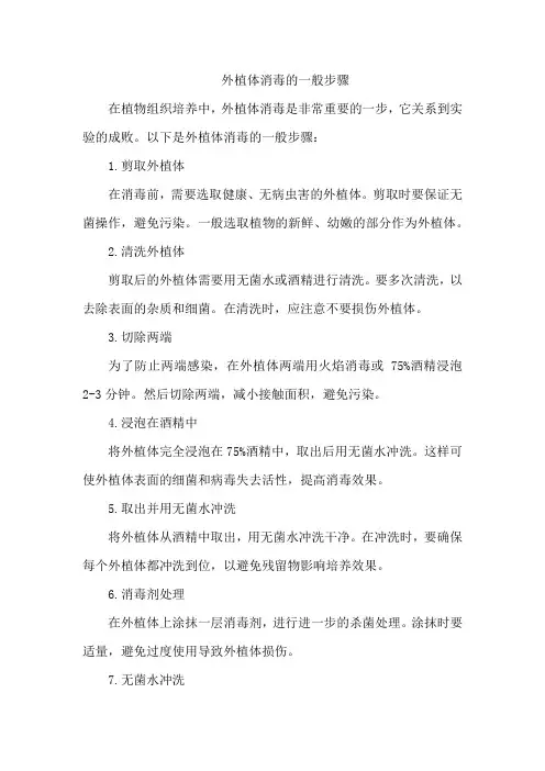 外植体消毒的一般步骤