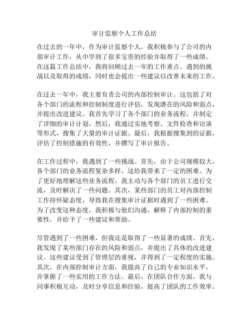 审计监察个人工作总结