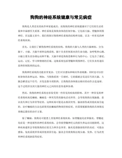 狗狗的神经系统健康与常见病症