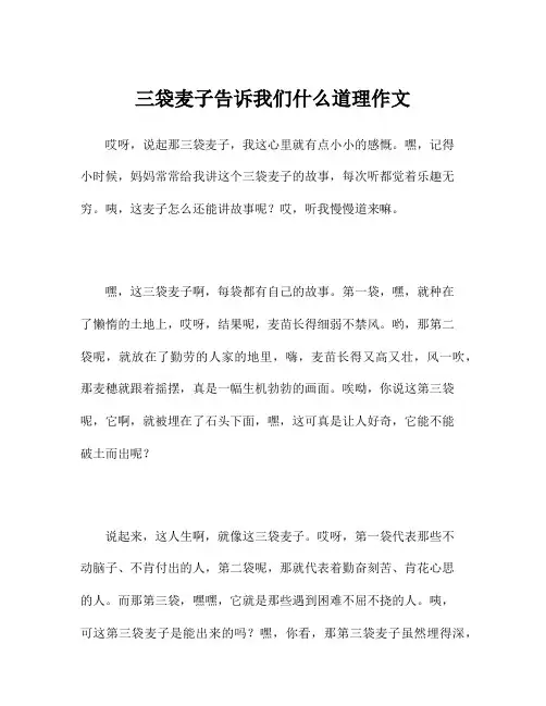 三袋麦子告诉我们什么道理作文