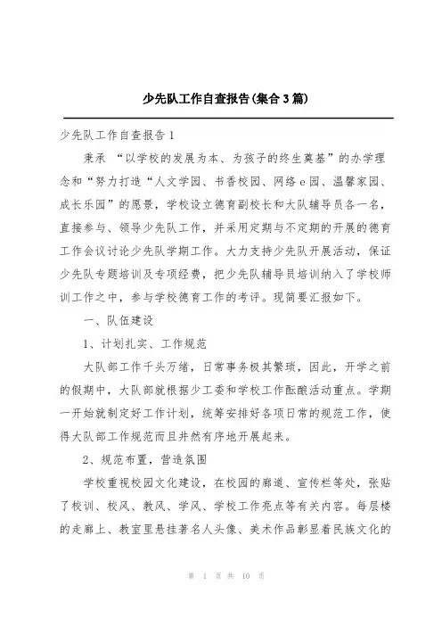 少先队工作自查报告(集合3篇)