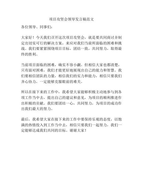 项目攻坚会领导发言稿范文