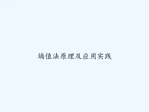 熵值法原理及应用实践 PPT