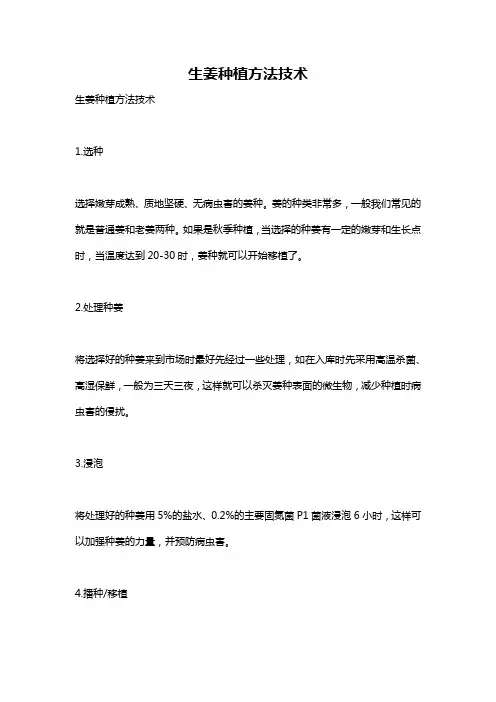 生姜种植方法技术