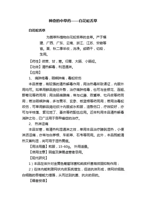神奇的中草药——白花蛇舌草