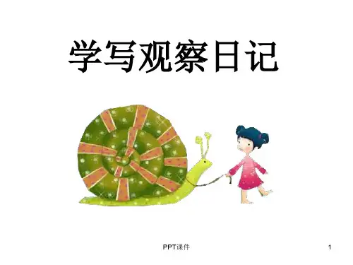 观察日记《火龙果》  ppt课件