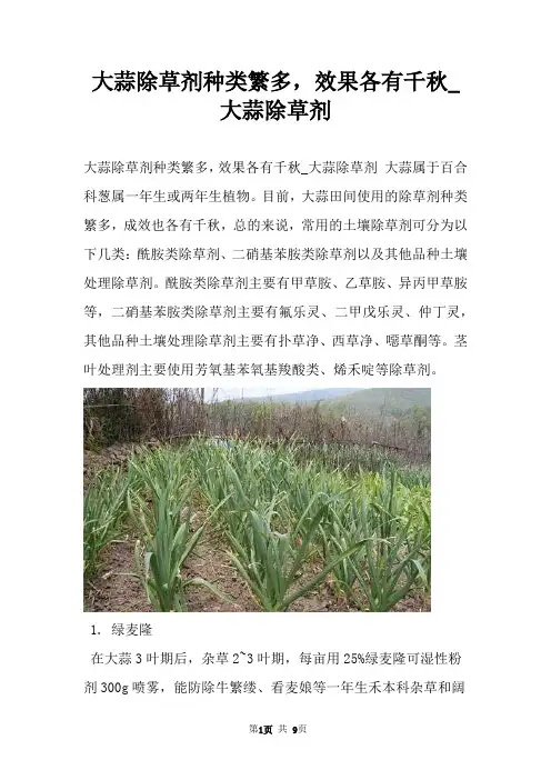 大蒜除草剂种类繁多，效果各有千秋_大蒜除草剂