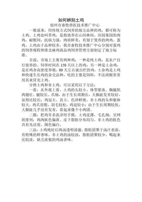 如何辨别土鸡