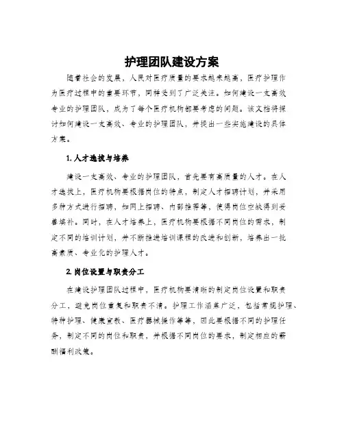护理团队建设方案
