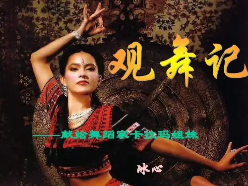 观舞记PPT课件