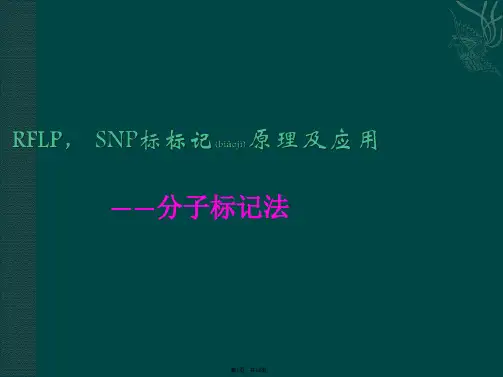 SNP标记(共18张)