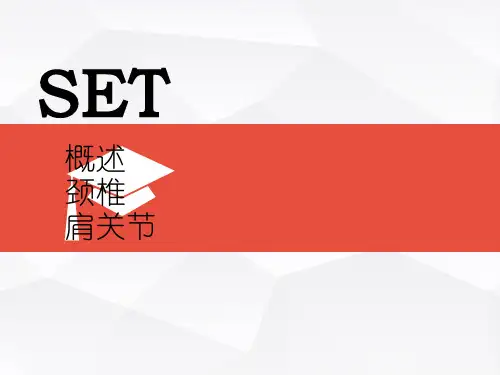 SET概述课件