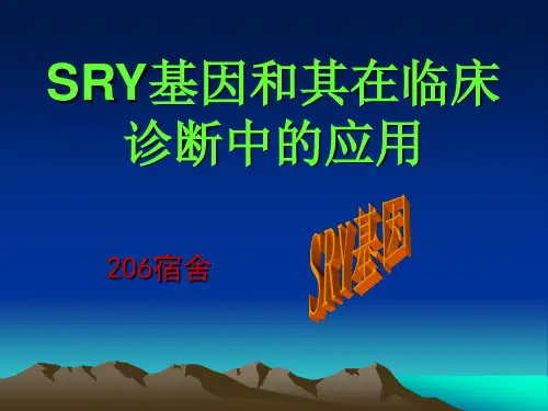 SRY基因和其在临床诊断中的应用
