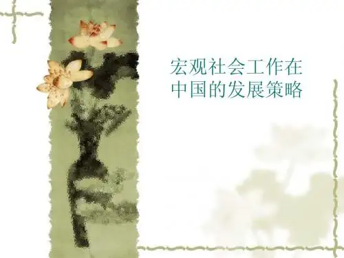 宏观社会工作在中国的发展策略