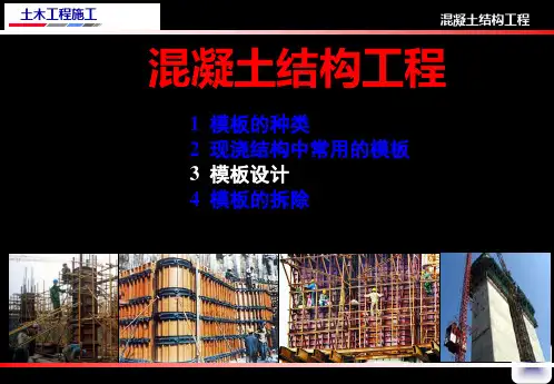 混凝土结构工程模板工程 共54页