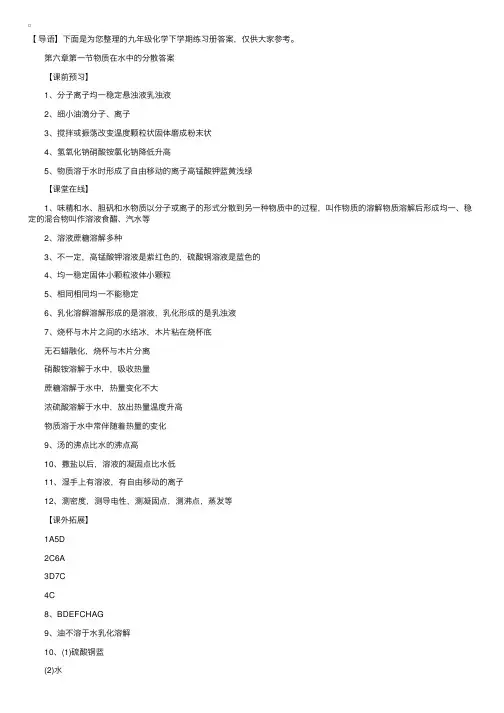 九年级化学下学期练习册答案