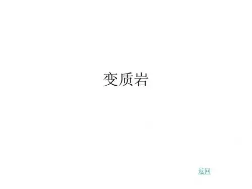 03变质岩