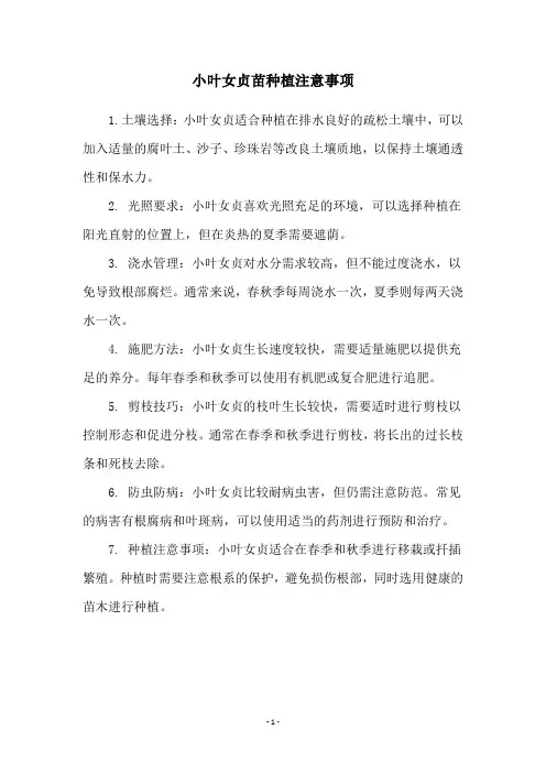 小叶女贞苗种植注意事项