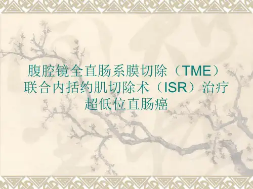  (完整版)腹腔镜全直肠系膜切除(TME)联合内括约肌切除术(ISR)治疗超低位直肠癌ppt课件