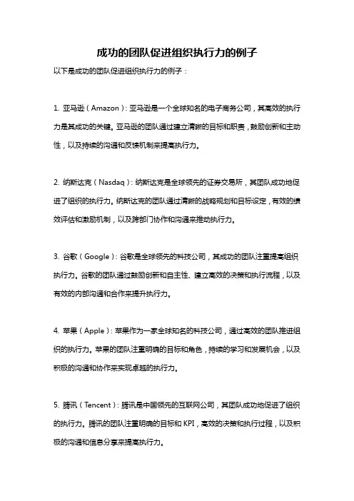 成功的团队促进组织执行力的例子