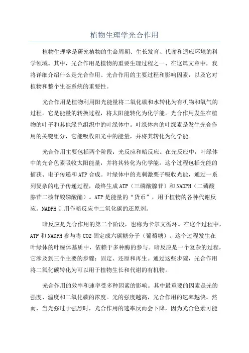 植物生理学光合作用