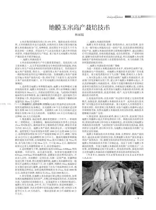 地膜玉米高产栽培技术