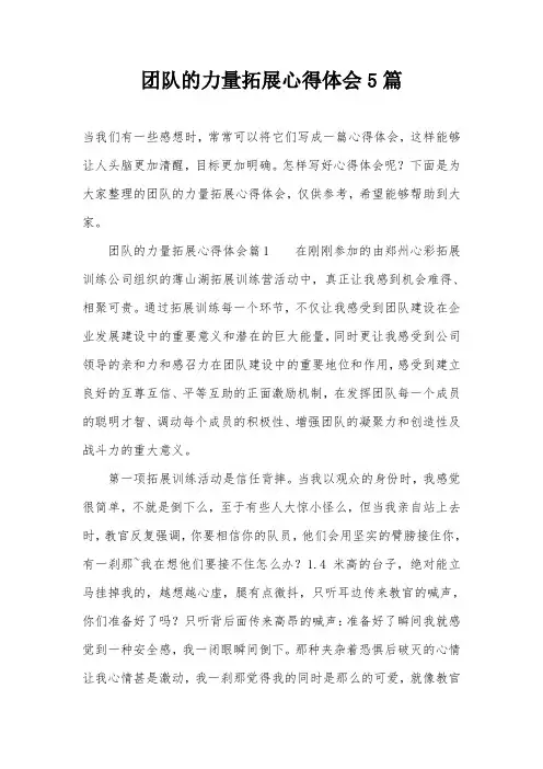 团队的力量拓展心得体会5篇