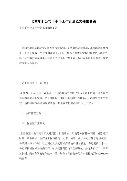 【精华】公司下半年工作计划范文锦集5篇
