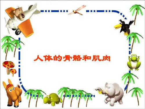 人体的骨骼和肌肉