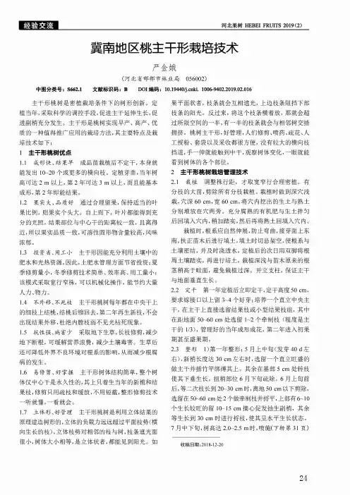 冀南地区桃主干形栽培技术