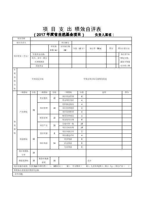 项目支出绩效自评表