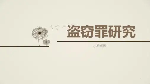 盗窃罪ppt课件