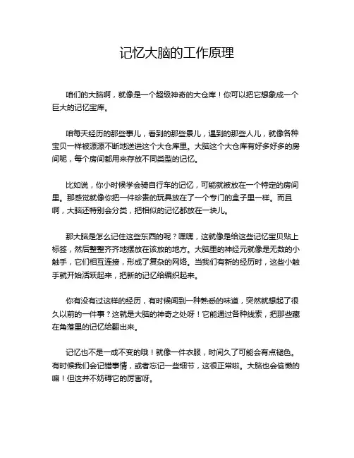 记忆大脑的工作原理