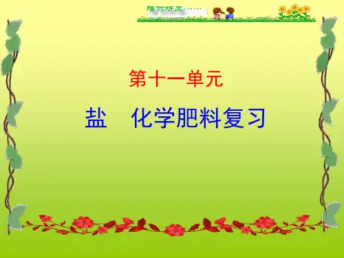 九年级化学第十一单元盐_化肥复习课件