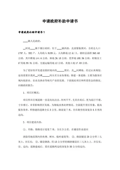 申请政府补助申请书