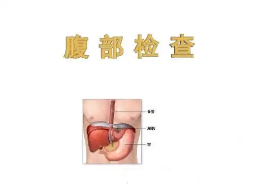 (医学课件)腹部体格检查PPT演示课件