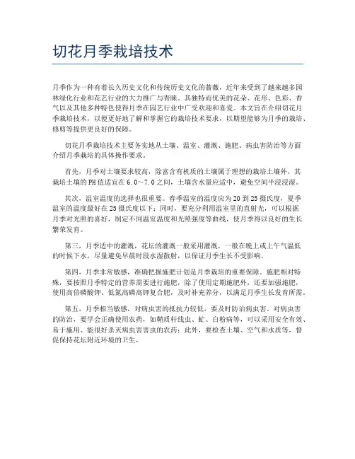 切花月季栽培技术