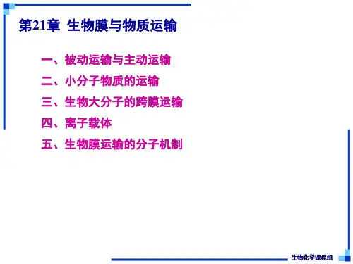 生物化学下-第21章 生物膜与物质运输-精品文档