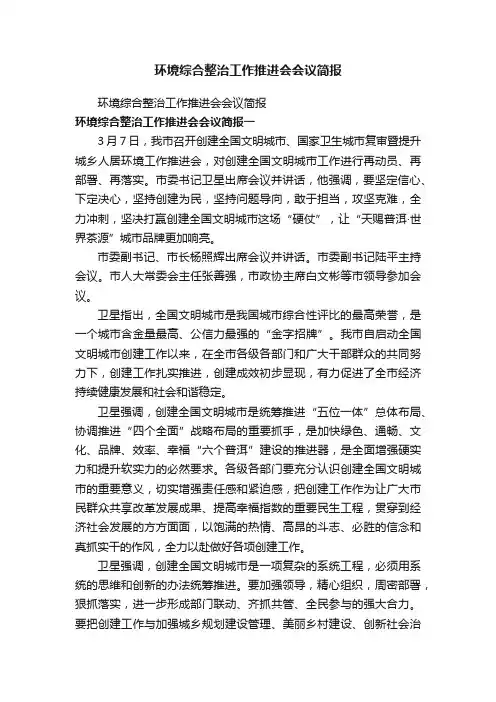 环境综合整治工作推进会会议简报
