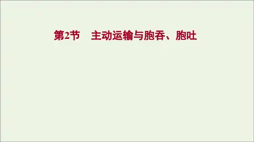 新教材高中生物第4章细胞的物质输入和输出第2节主动运输与胞吞胞吐课件新人教版必修1ppt