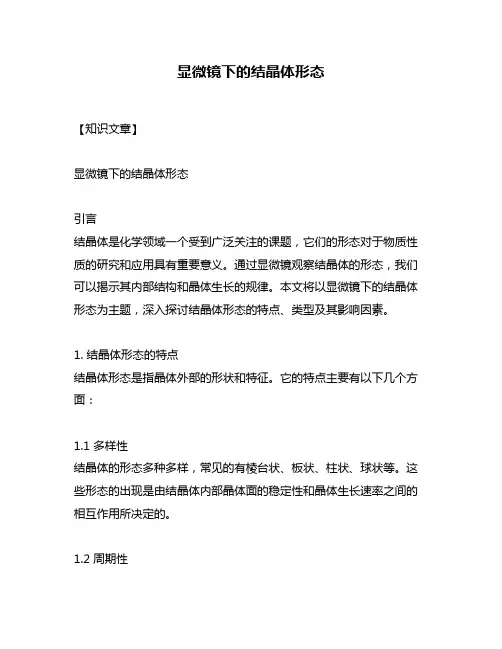 显微镜下的结晶体形态